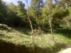 Land for Sale in Kandy Abathanna