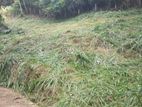 Land for sale in Kandy Abathanna