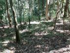 Land for Sale in Kandy