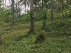 Land for Sale in Kandy - Ampitiya