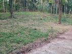 Land for Sale in Kandy, Amunugama