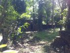 Land for Sale in Kandy Balagolla