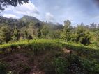 Land for Sale in Kandy Bolagala