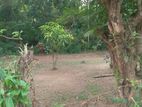 Land for Sale in Kandy City Limit Ampitiya