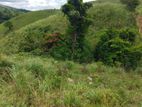 Land for sale in Kandy Deltota