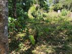 Land for Sale in Kandy Digana