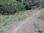 LAND FOR SALE IN KANDY DIGANA