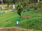 Land for Sale in Kandy Digana Malpana