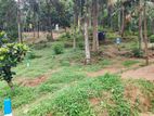 Land for Sale in Kandy Digana Malpana