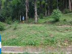 Land for Sale in Kandy Digana Malpana