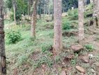 Land for Sale in Kandy Digana Malpana