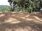 Land for Sale in Kandy Dodamwala