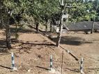 Land for Sale in Kandy