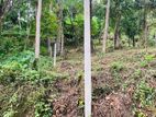 Land for sale In Kandy