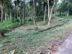 Land for sale In Kandy