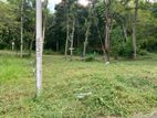 Land for Sale in Kandy