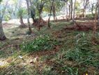 Land for Sale in Kandy