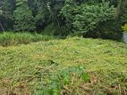 Land for Sale in Kandy