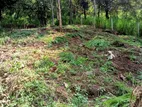 Land for Sale in Kandy