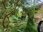 Land for Sale in Kandy