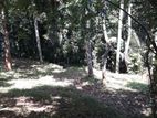 Land for Sale in Kandy