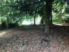 Land for Sale in Kandy