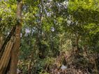 Land for Sale in Kandy