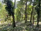 Land for sale in Kandy