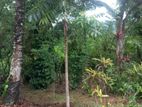 Land for Sale in kandy
