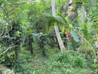 Land for Sale in Kandy