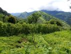 Land for Sale in Kandy