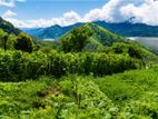 Land for Sale in Kandy