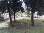 Land for Sale in Kandy Gam Udawa