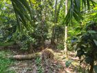 Land for Sale in Kandy Gam Udawa