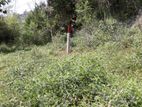 Land for Sale in Kandy Gam Udawa