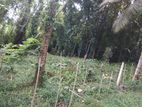 Land for sale in kandy | Gannoruwa