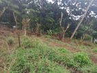 Land for Sale in Kandy Gelioya