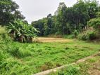 Land for Sale in Kandy Gelioya Pethiyagoda