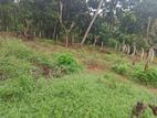 Land for Sale in Kandy Gelioya Pethiyagoda