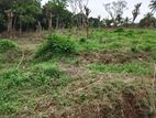 Land for Sale in Kandy Gelioya Pethiyagoda