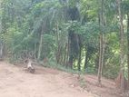 Land for Sale in Kandy - gunnapala polgolla
