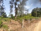 Land for Sale in Kandy - Hadeniya