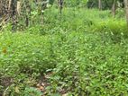 Land For Sale in Kandy Lake Round (near to Swiss hotel)