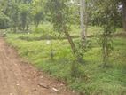 Land for Sale in Kandy - Mailapitiya