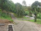 Land for Sale in Kandy Malpana-Digana