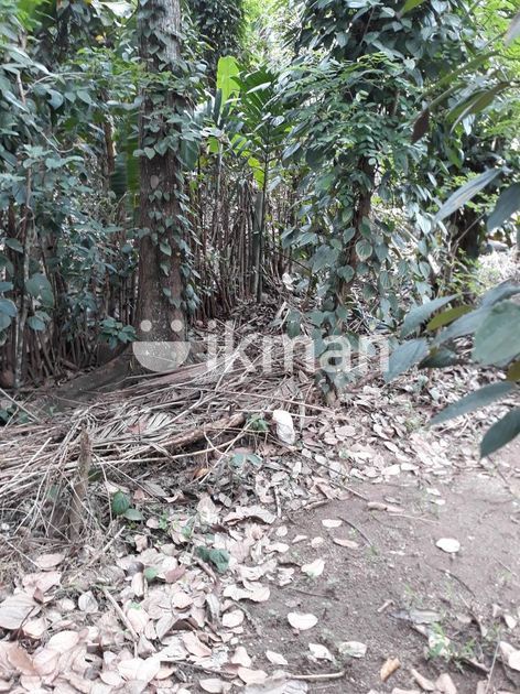 Land for Sale in Kandy Malpana | ikman