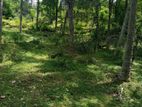 Land for Sale in Kandy - Marassana