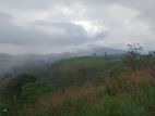 Land for sale in Kandy Nillabe