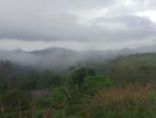 Land for sale in Kandy Nillabe