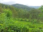Land for Sale in Kandy - Nillamba